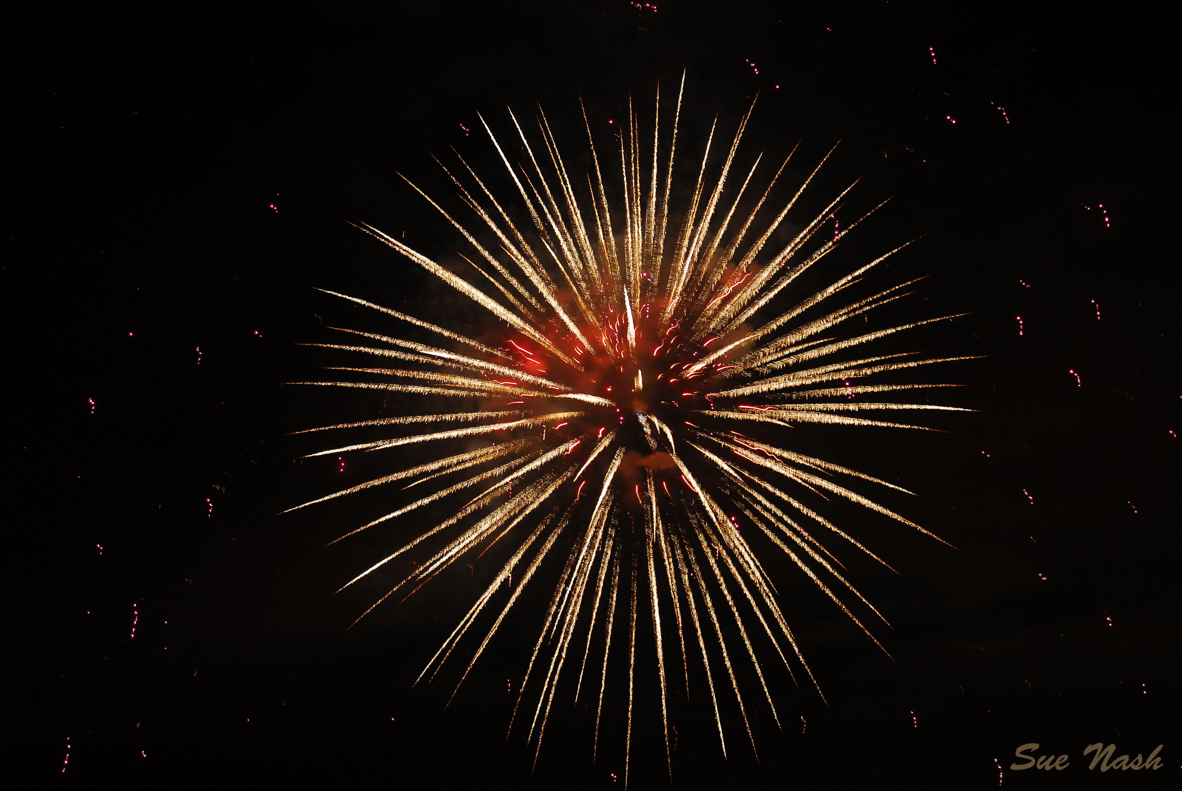 fireworks-pic-by-sue-nash.jpg