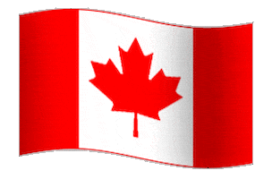 canadian flag canada GIF