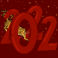 Excited Happy New Year GIF by Hello All