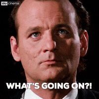 bill murray what GIF by Sky