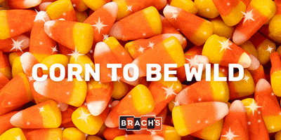 Hungry Trick Or Treat GIF by Brach's
