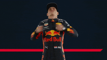 formula 1 max GIF by Red Bull Racing