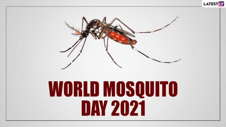 World-Mosquito-Day-2021-784x441.jpg