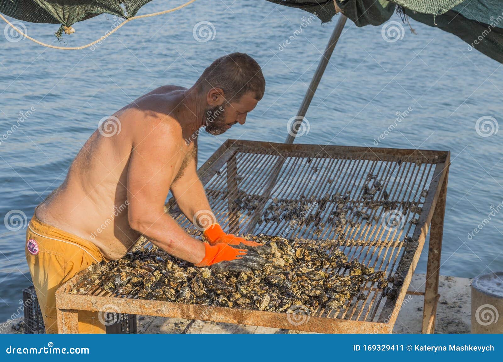 saranda-albania-september-man-peels-mussels-primitive-boat-raft-mussel-farm-fresh-ecological-seafood-%D1%80oor-169329411.jpg