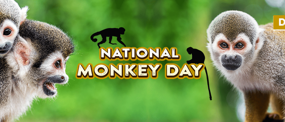 national-monkey-day-header.png