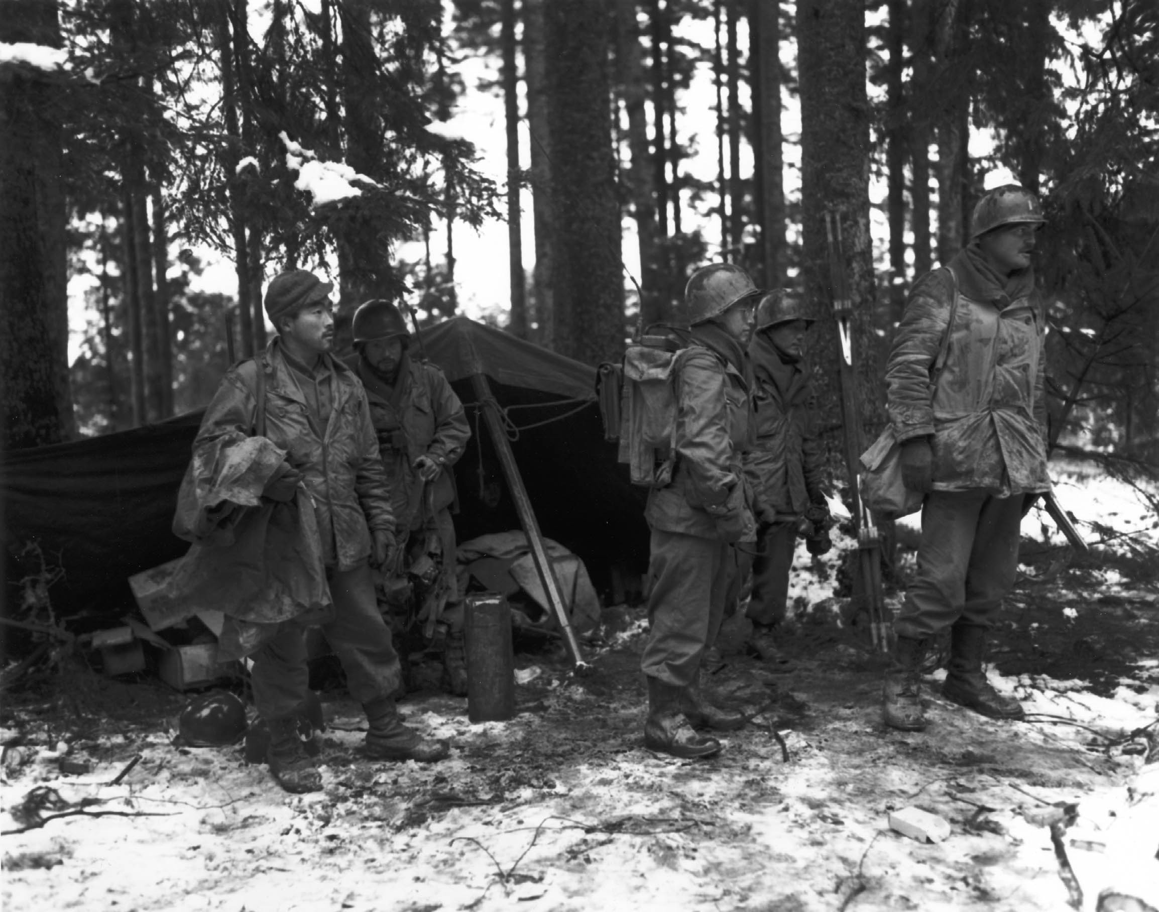 2nd_Battalion%2C_442nd_RCT_near_Saint-Di%C3%A9_1944-11-13.jpg