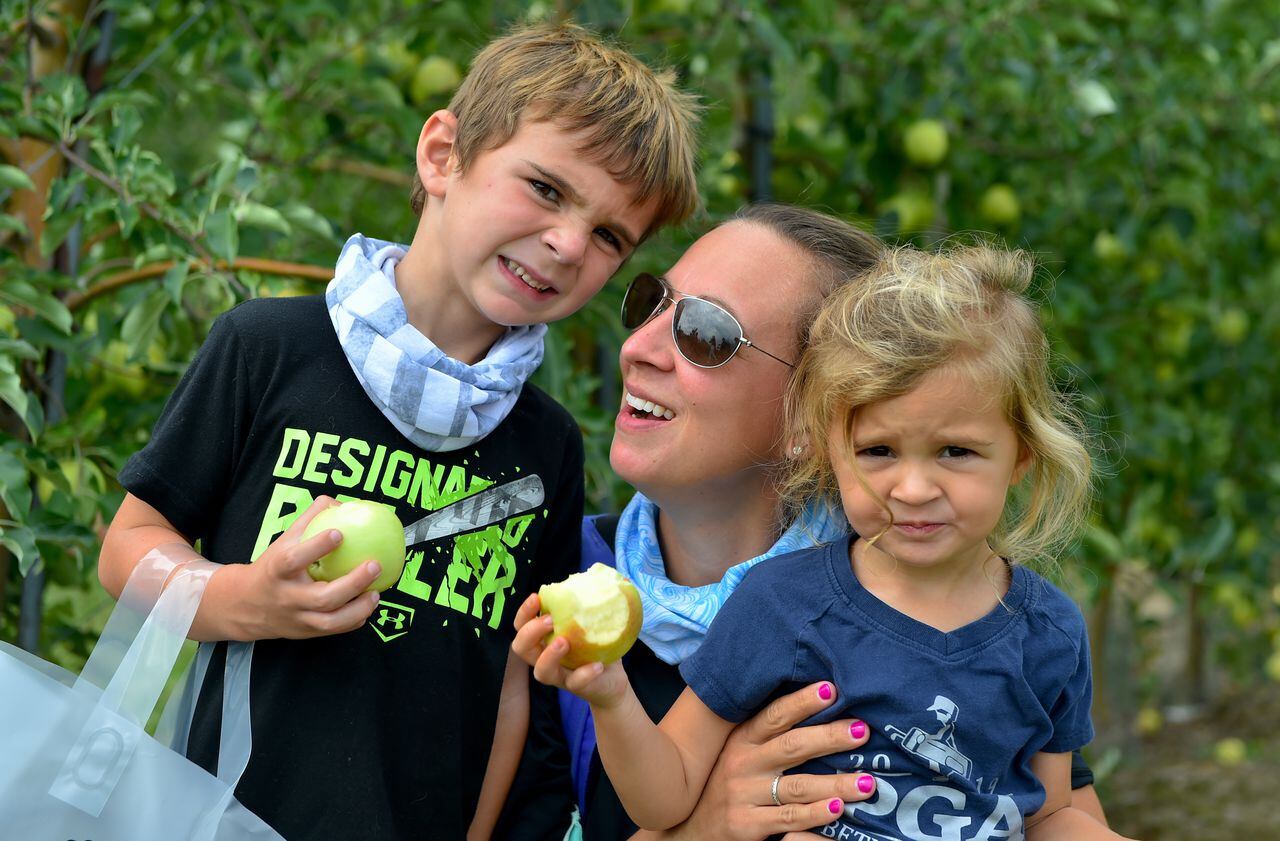 From left: Lawson, Stephanie and Ella Locke pick apples at Beak & Skiff Apple Orchards on Thursday, Sept. 3, 2020. (Katrina Tulloch | ktulloch@syracuse.com)